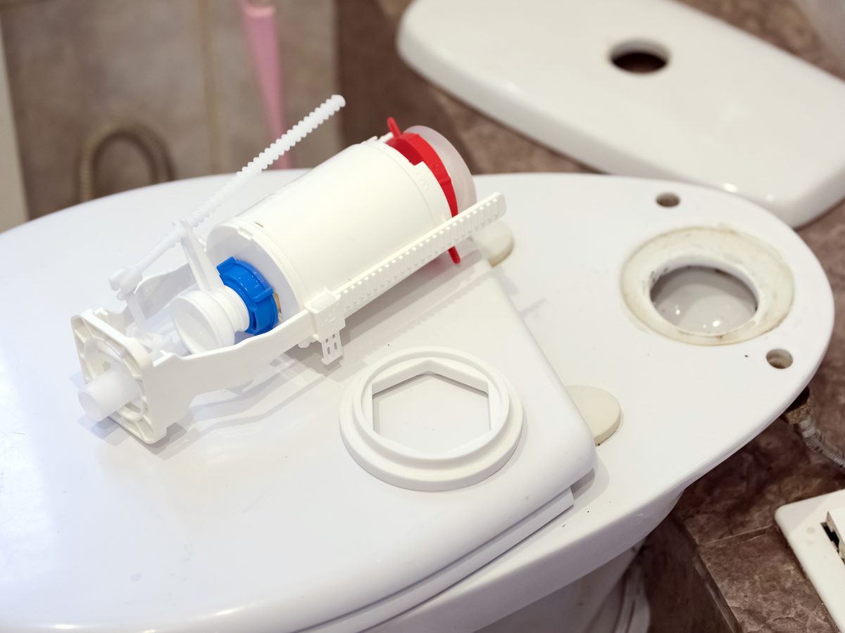 Flush valve assembly resting on a toilet with the cistern lid lifted off